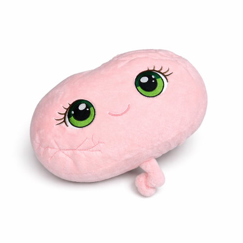 PRI PRI PLACENTA – Baby Comfort Plush